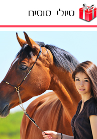 טיולי סוסים